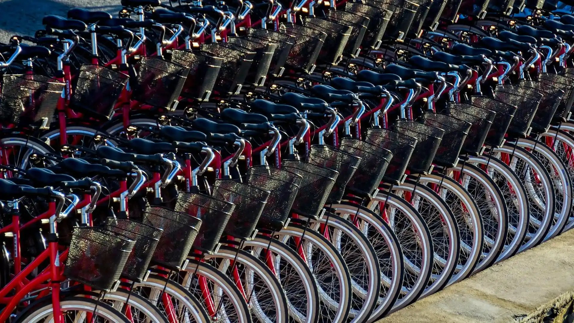 Rader av röda cyklar med svarta korgar parkerade i led.