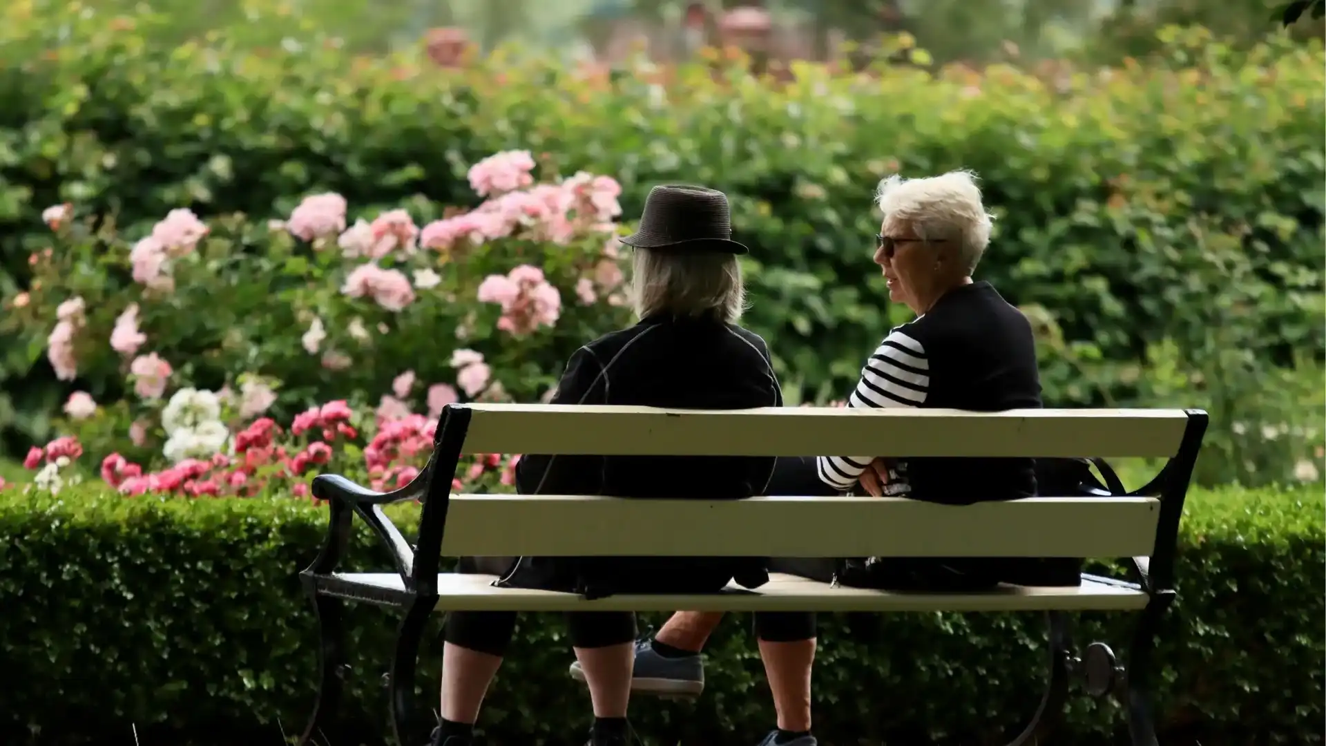 Två äldre kvinnor sitter på en parkbänk framför blommande rosor.